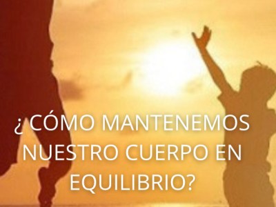 ¿CÓMO MANTENEMOS NUESTRO CUERPO EN&nbsp;EQUILIBRIO?