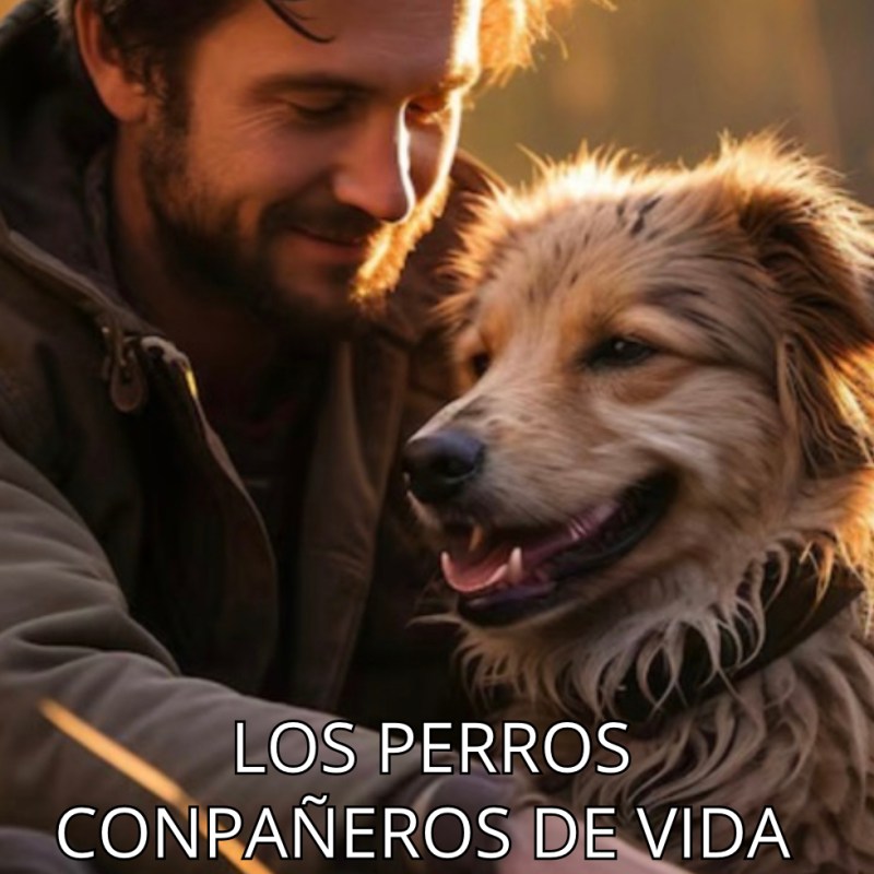 LOS PERROS COMPAÑEROS DE&nbsp;VIDA