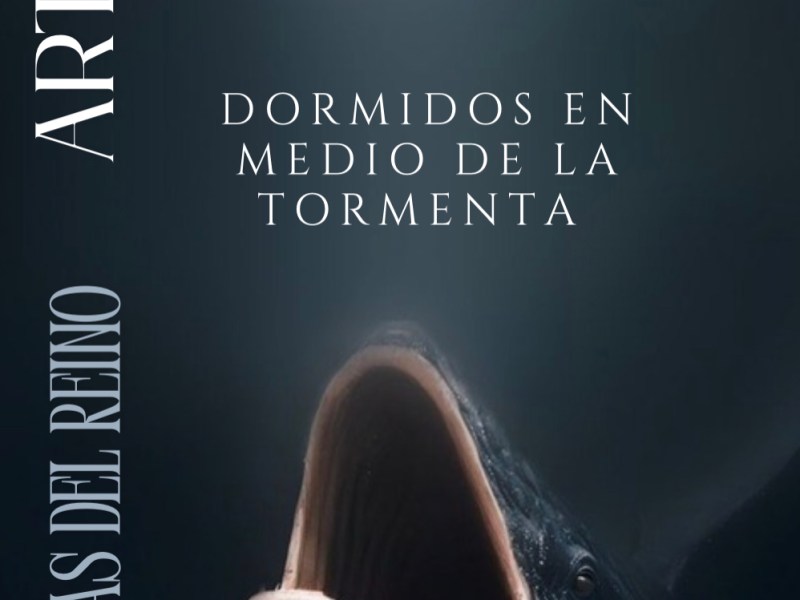 DORMIDOS EN MEDIO DE LA&nbsp;TORMENTA